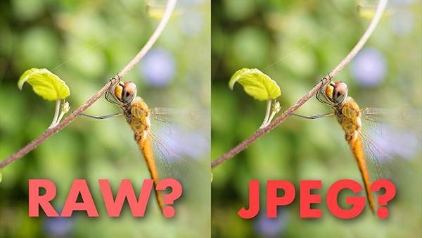 oromoRR102723_fombi8